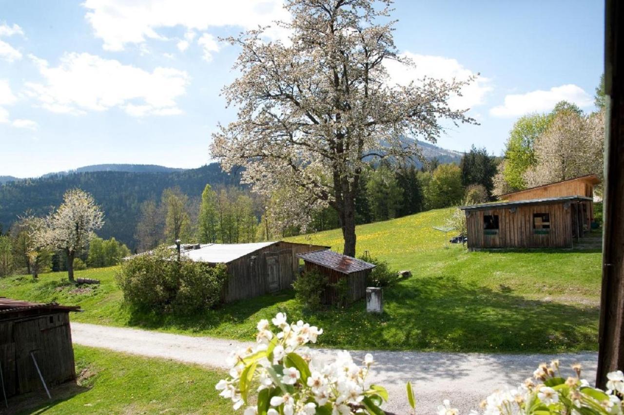 Landhof Steinhuette Guest House Bayerisch Eisenstein Luaran gambar